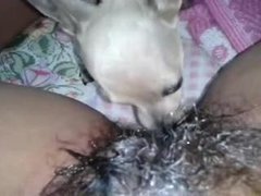 Animal sex whores