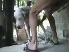 Zoo Sex Name